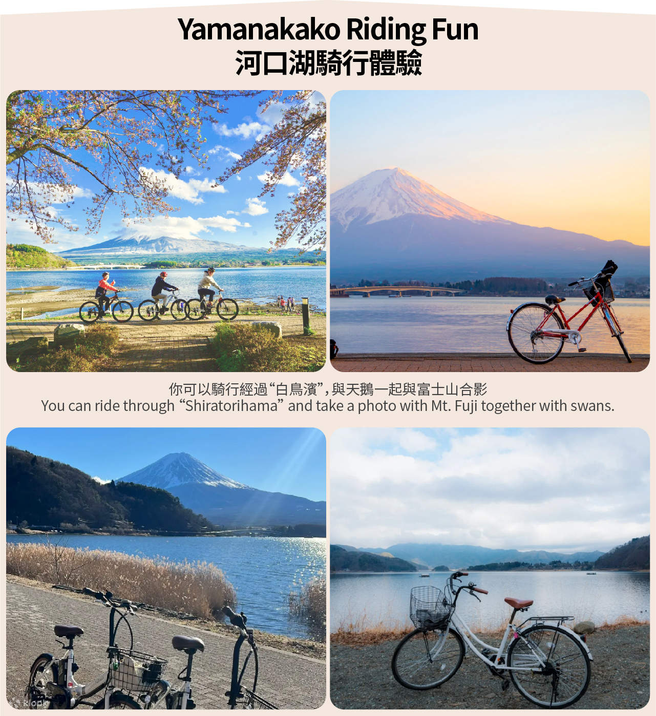 [Mt. Fuji Cycling, Matcha Experience, and Hot Spring Two-Day Deep Dive Tour] Kawaguchiko & Matcha Experience & Ropeway & Hot Spring & Yamanakako Cycling & Oshino Hakkai &... - Image 7